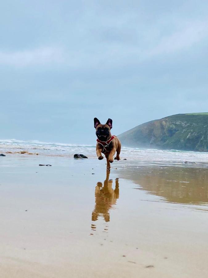 Daphne'S Lodge Mawgan Porth Buitenkant foto