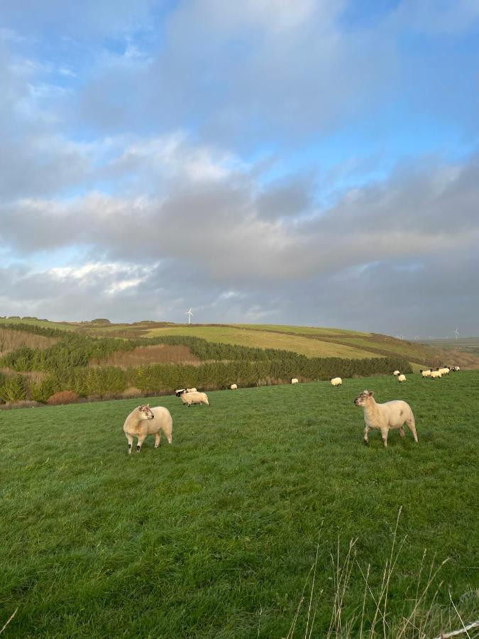 Daphne'S Lodge Mawgan Porth Buitenkant foto